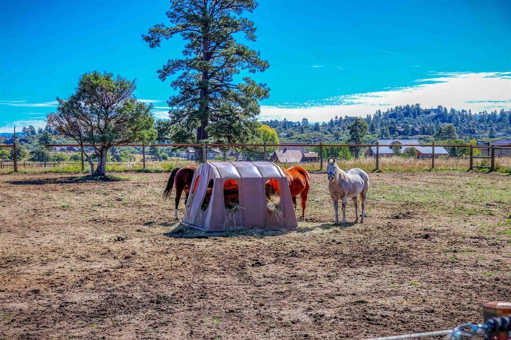480 Scenic Avenue Pagosa Springs CO 81147
