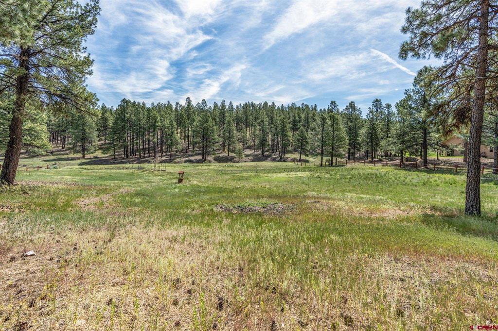 699 Beaver Creek Drive Bayfield CO 81122
