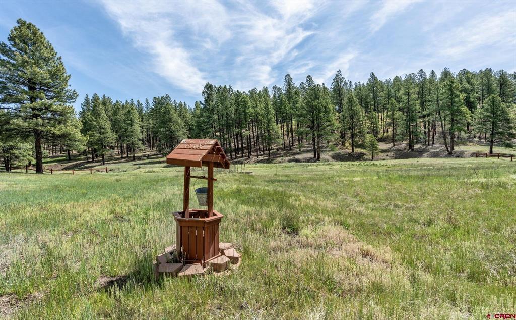 699 Beaver Creek Drive Bayfield CO 81122