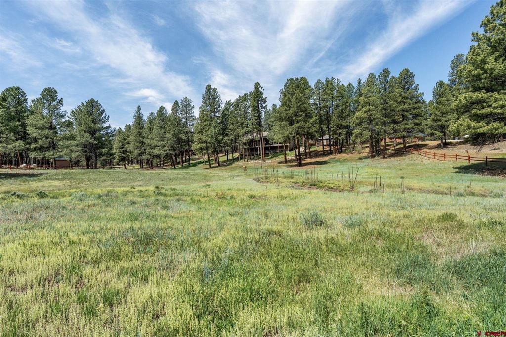 699 Beaver Creek Drive Bayfield CO 81122