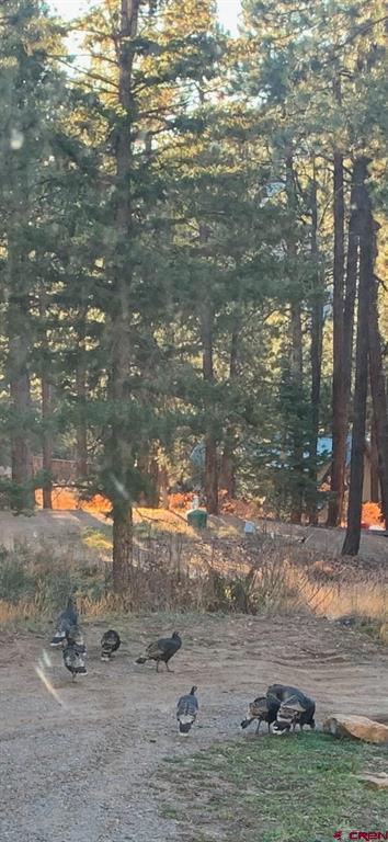 959 Sierra Drive Durango CO 81301