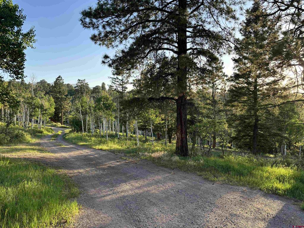 135 Aspenglow Lane Ridgway CO 81432