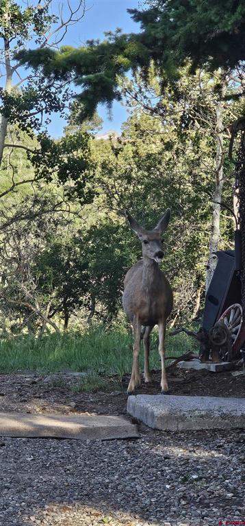 135 Aspenglow Lane Ridgway CO 81432