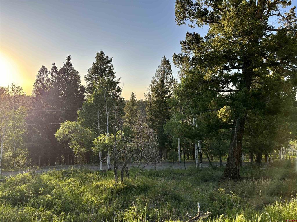 135 Aspenglow Lane Ridgway CO 81432