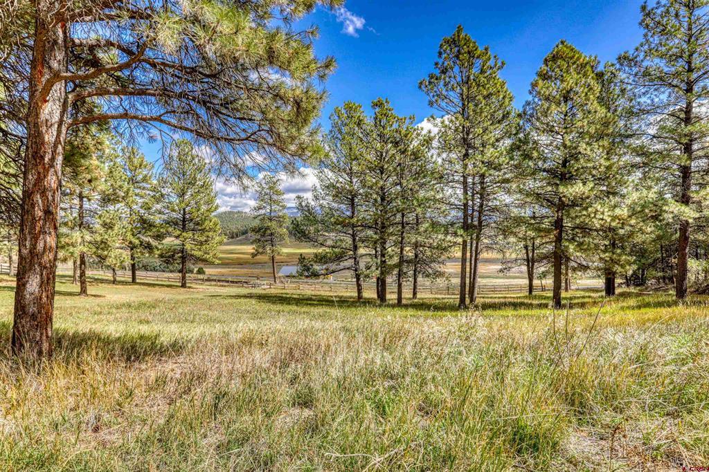 1220 County Road 400 Pagosa Springs CO 81147