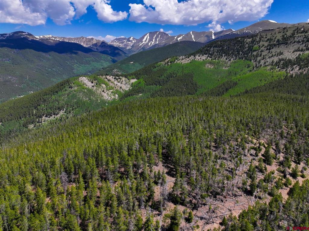 000 White Pine Upper Tomichi Gunnison CO 81230