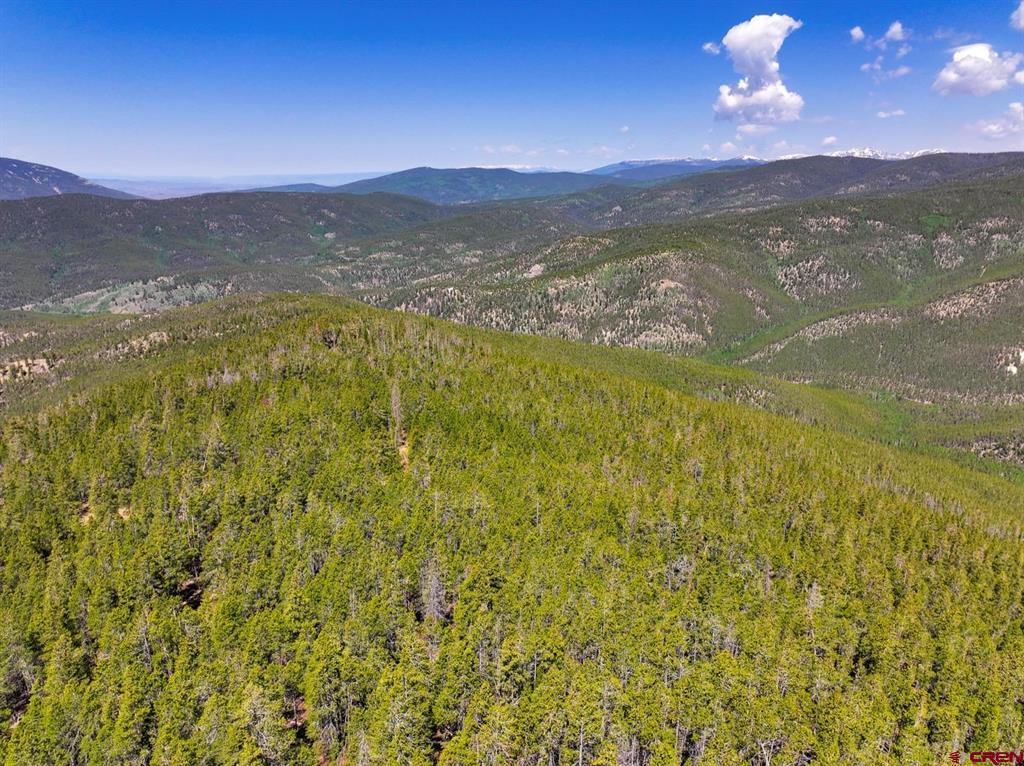 000 White Pine Upper Tomichi Gunnison CO 81230