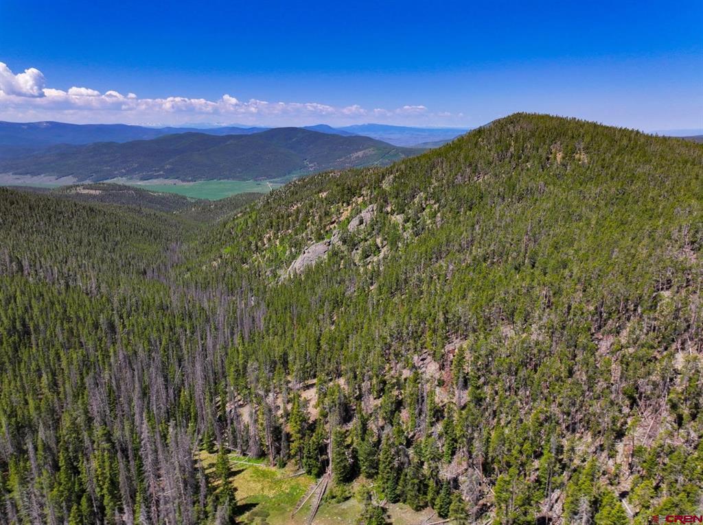 000 White Pine Upper Tomichi Gunnison CO 81230