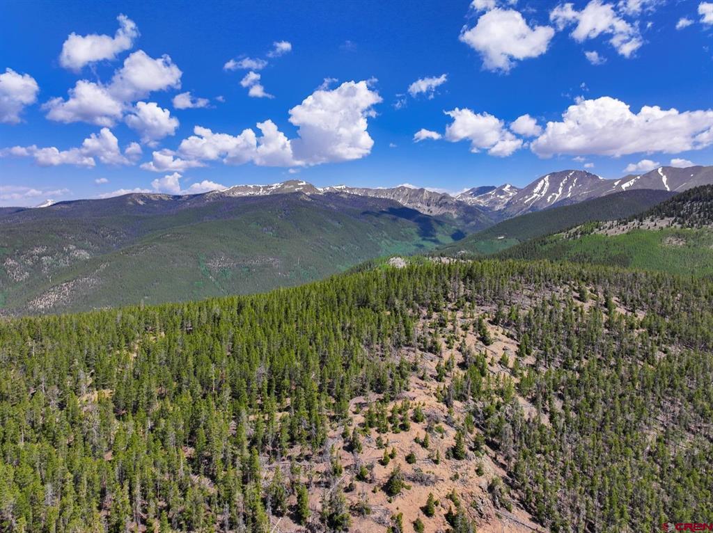 000 White Pine Upper Tomichi Gunnison CO 81230