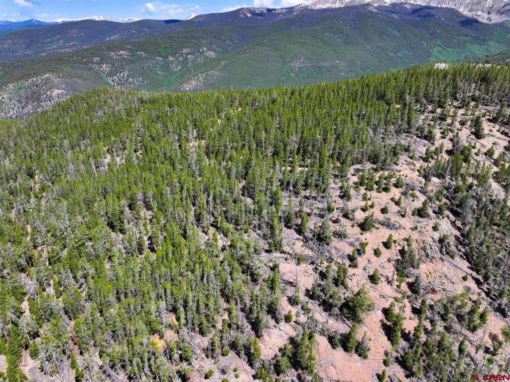 000 White Pine Upper Tomichi Gunnison CO 81230