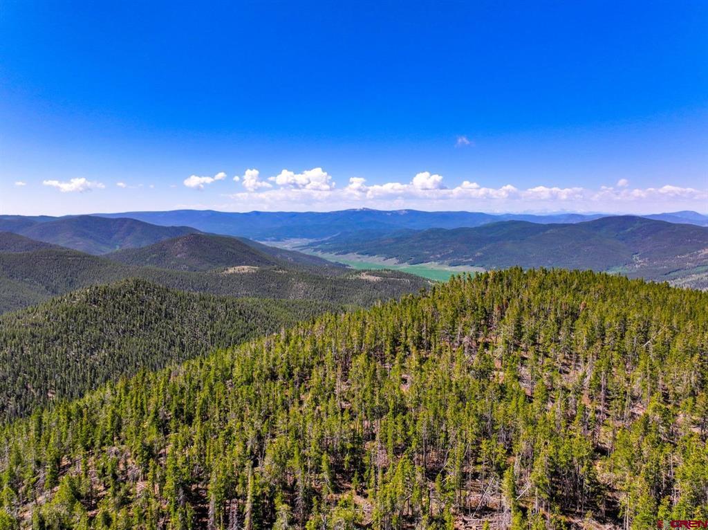 000 White Pine Upper Tomichi Gunnison CO 81230