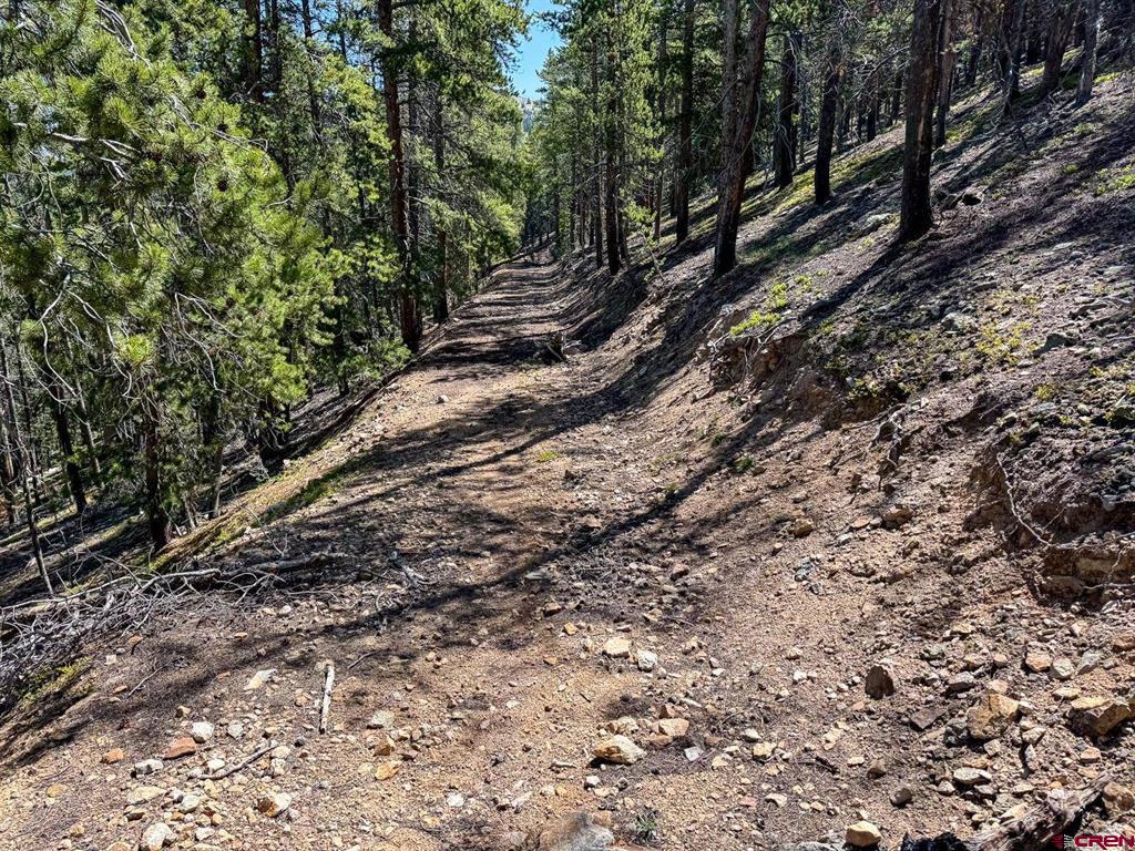000 White Pine Upper Tomichi Gunnison CO 81230