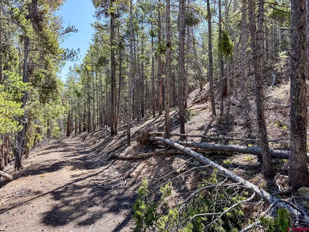 000 White Pine Upper Tomichi Gunnison CO 81230