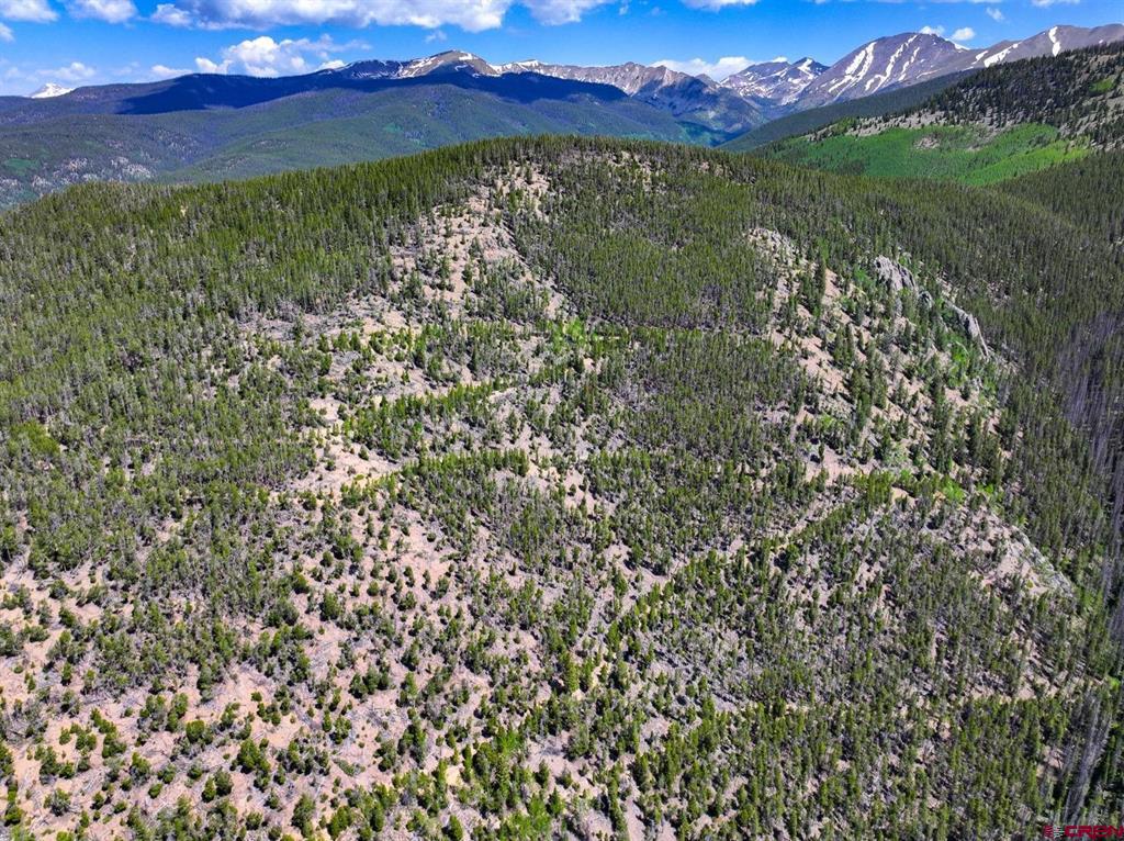 000 White Pine Upper Tomichi Gunnison CO 81230