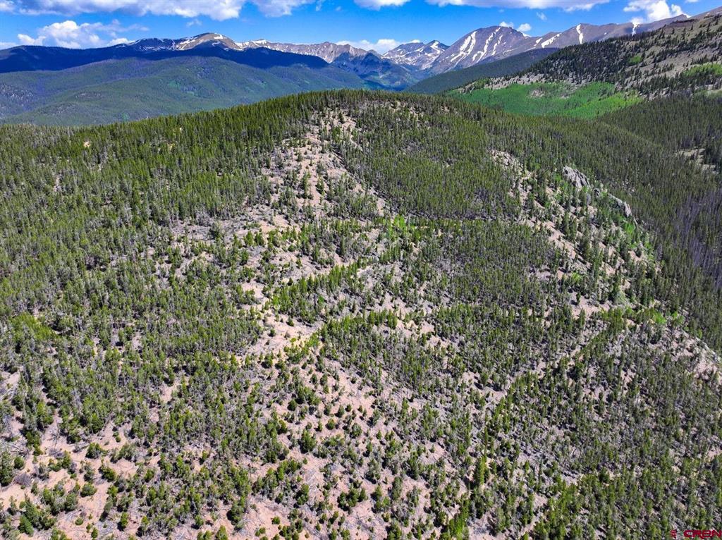 000 White Pine Upper Tomichi Gunnison CO 81230
