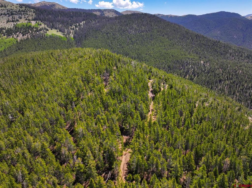 000 White Pine Upper Tomichi Gunnison CO 81230
