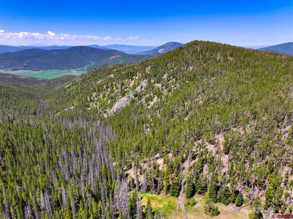 000 White Pine Upper Tomichi Gunnison CO 81230