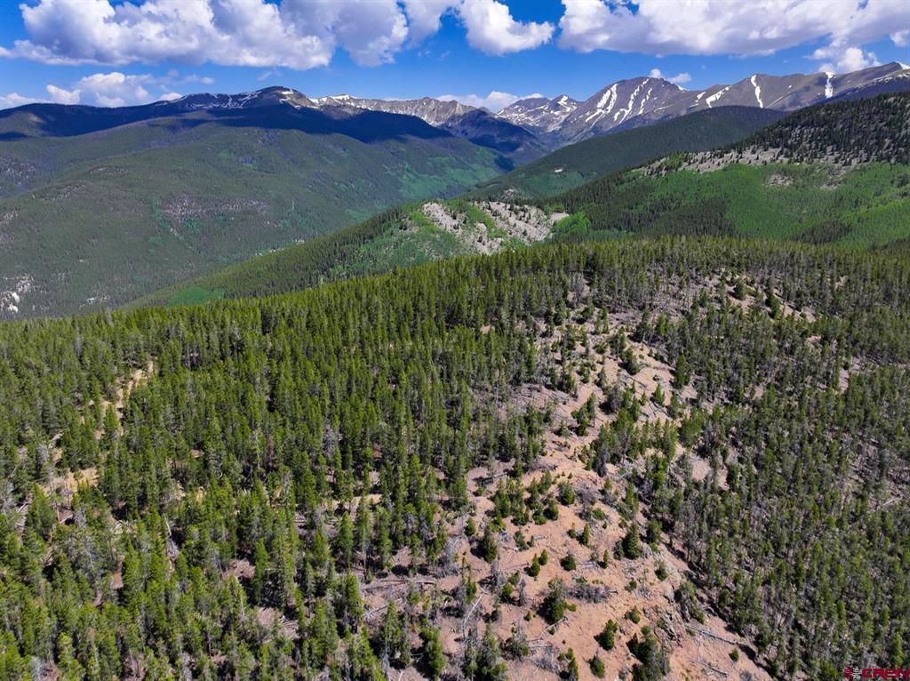 000 White Pine Upper Tomichi Gunnison CO 81230