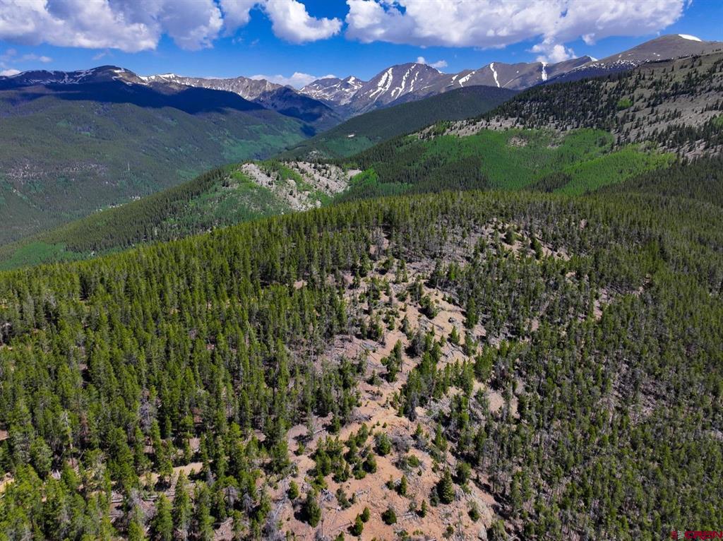 000 White Pine Upper Tomichi Gunnison CO 81230