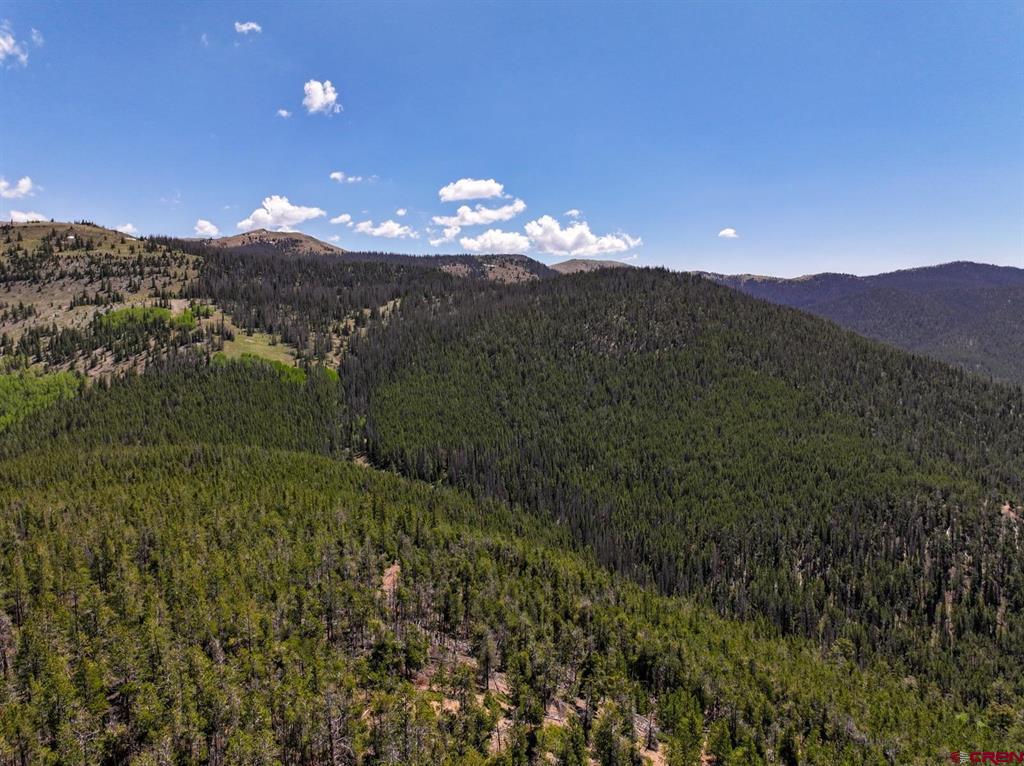 000 White Pine Upper Tomichi Gunnison CO 81230