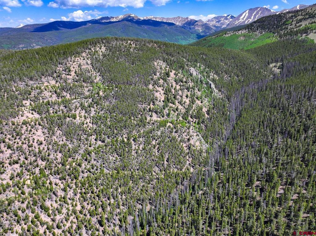 000 White Pine Upper Tomichi Gunnison CO 81230