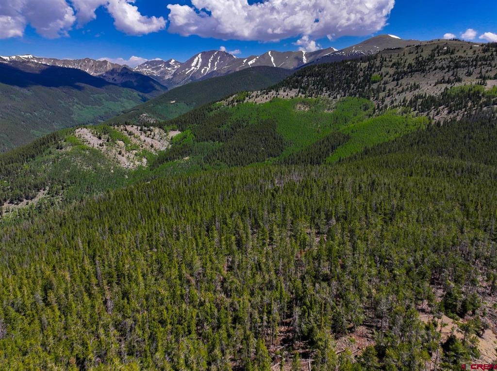 000 White Pine Upper Tomichi Gunnison CO 81230