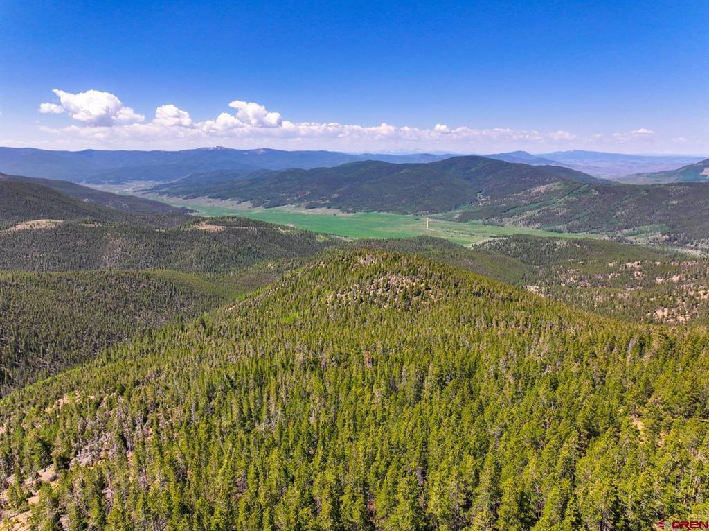 000 White Pine Upper Tomichi Gunnison CO 81230