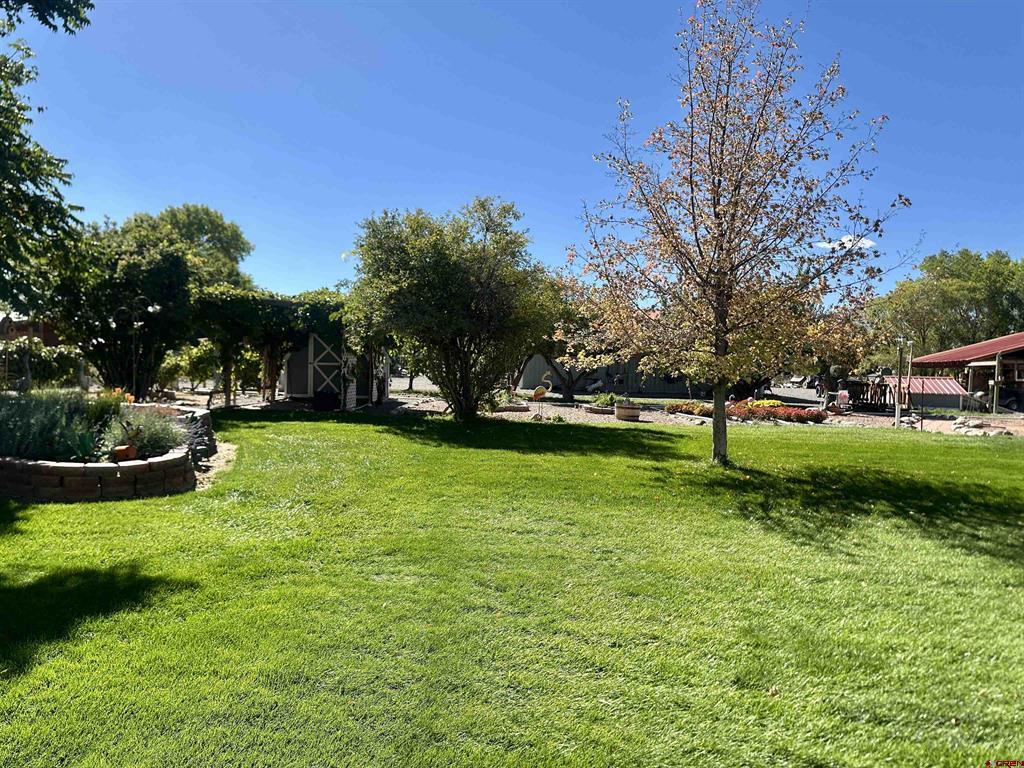 11435 6250 Road Montrose CO 81401