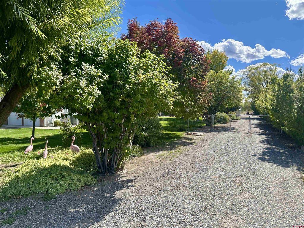 11435 6250 Road Montrose CO 81401