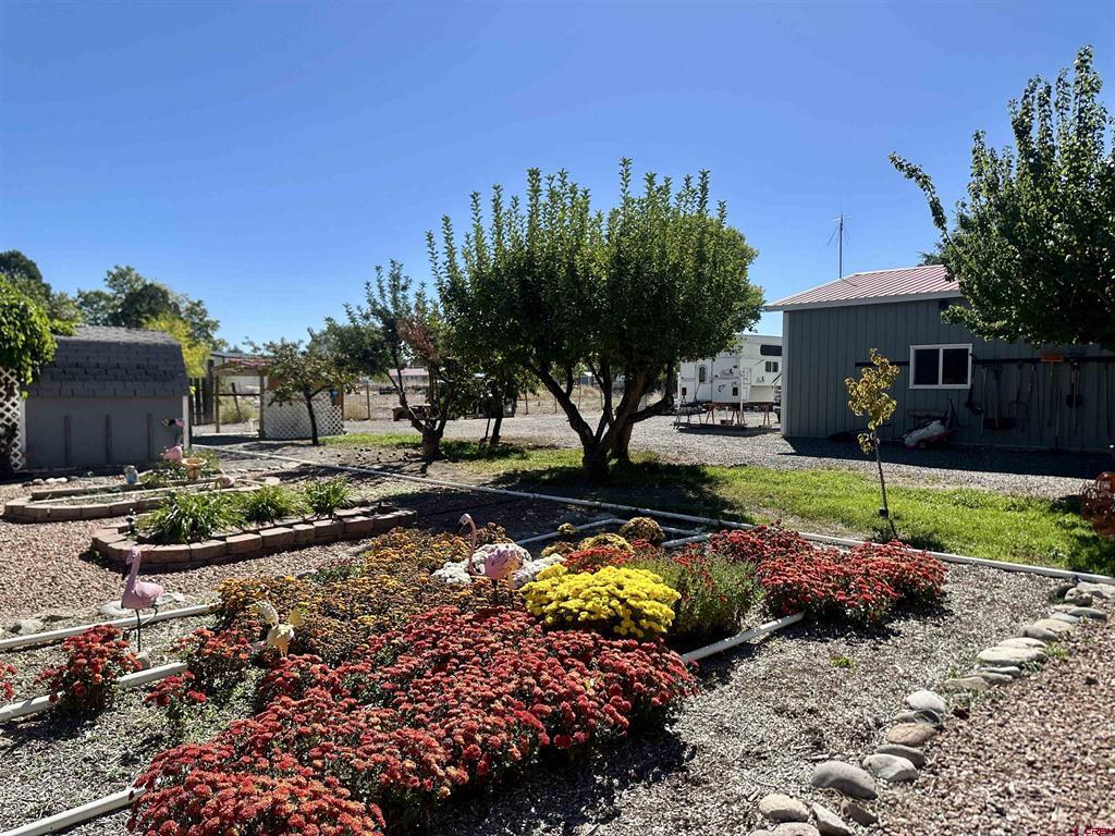 11435 6250 Road Montrose CO 81401