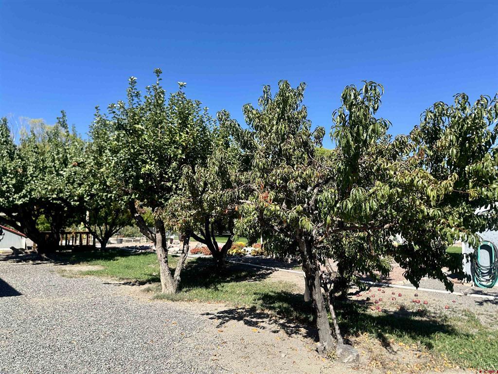 11435 6250 Road Montrose CO 81401