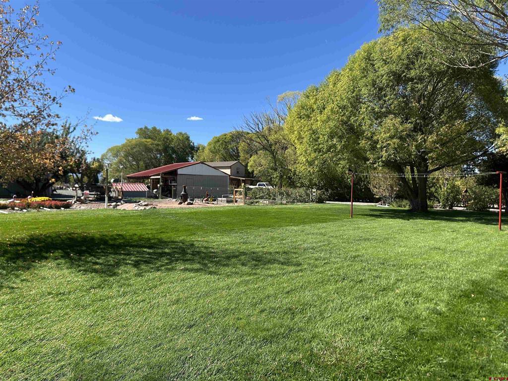 11435 6250 Road Montrose CO 81401