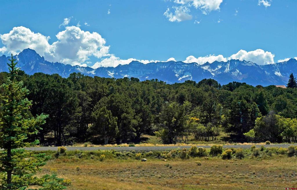 76 Tower Road South Ridgway CO 81432