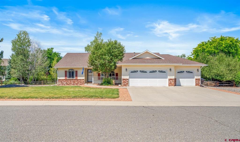 2033 Otter Pond Circle Montrose CO 81401