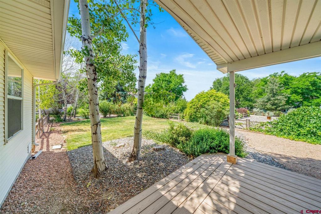 2033 Otter Pond Circle Montrose CO 81401