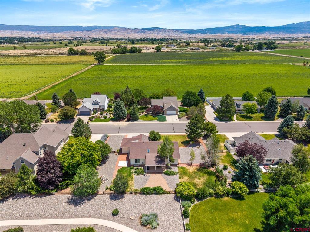 2033 Otter Pond Circle Montrose CO 81401