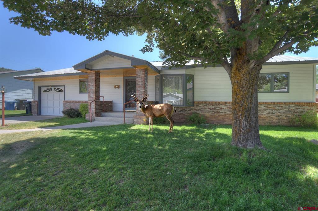 22 Bacus Avenue Durango CO 81301