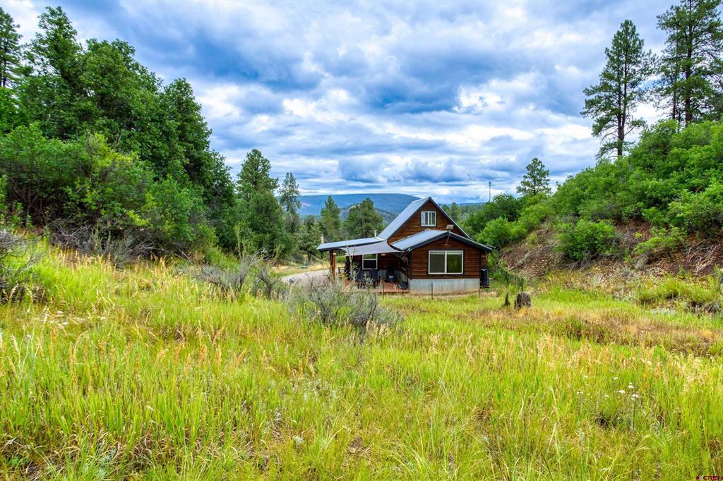 233 Carols Curves Pagosa Springs CO 81147