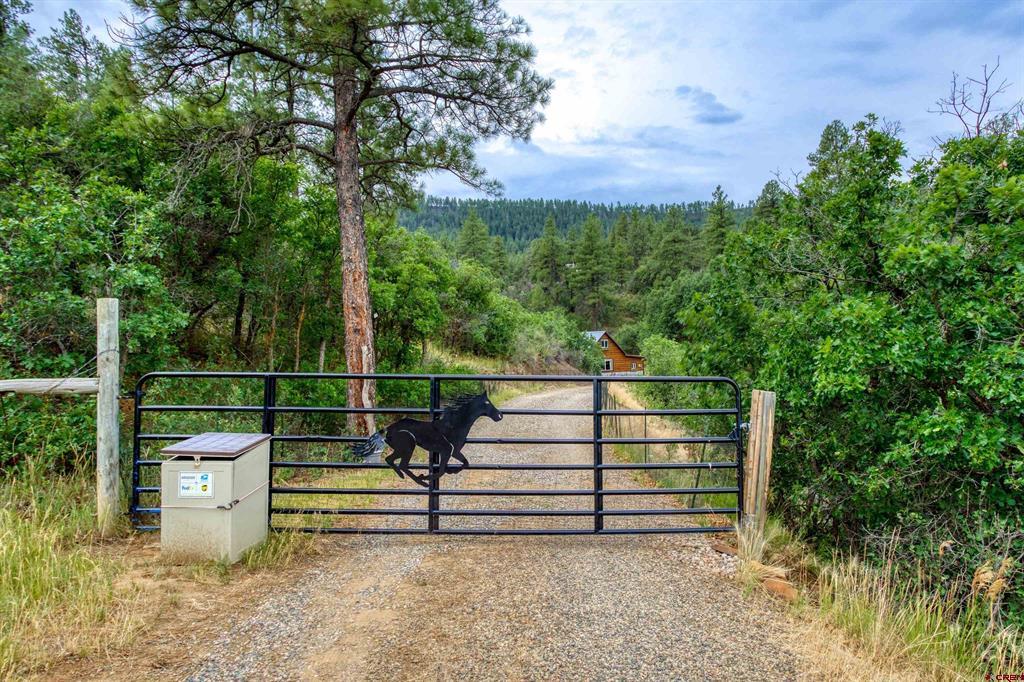 233 Carols Curves Pagosa Springs CO 81147