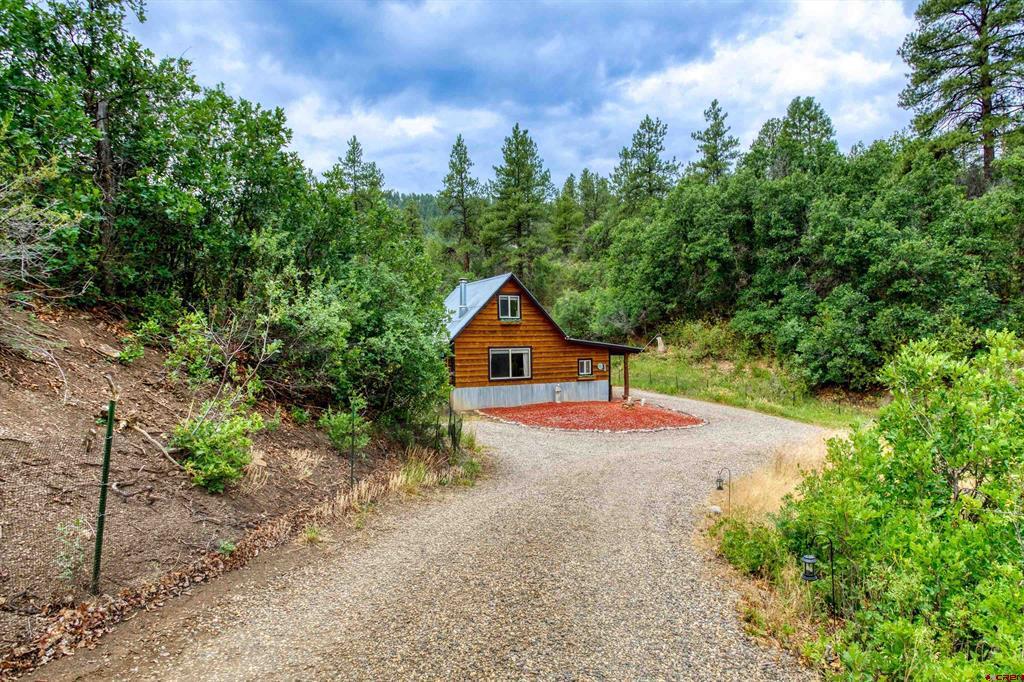 233 Carols Curves Pagosa Springs CO 81147
