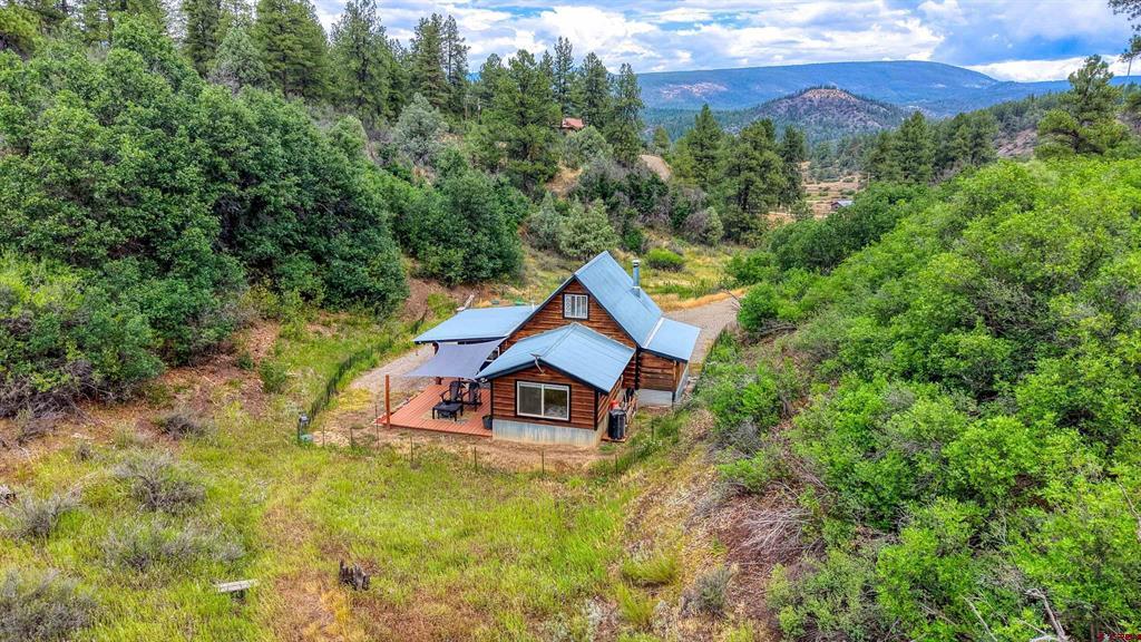 233 Carols Curves Pagosa Springs CO 81147