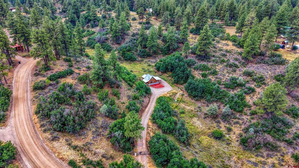 233 Carols Curves Pagosa Springs CO 81147