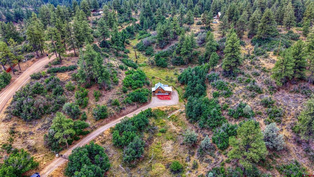 233 Carols Curves Pagosa Springs CO 81147