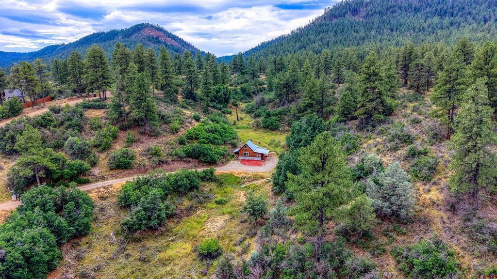 233 Carols Curves Pagosa Springs CO 81147