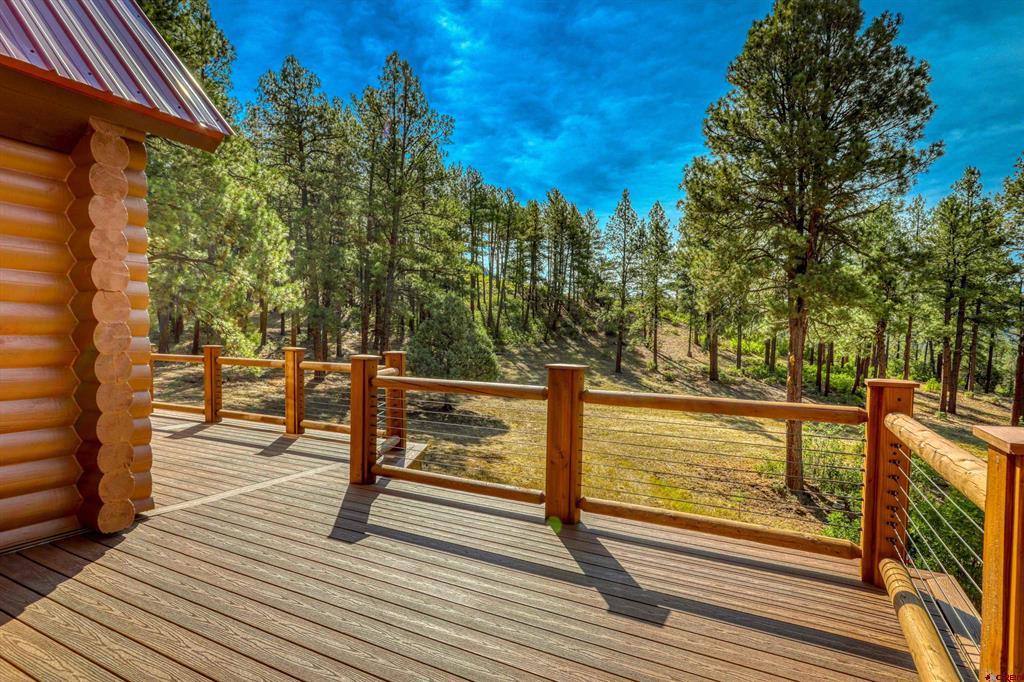 704 Two Bear Drive Pagosa Springs CO 81147