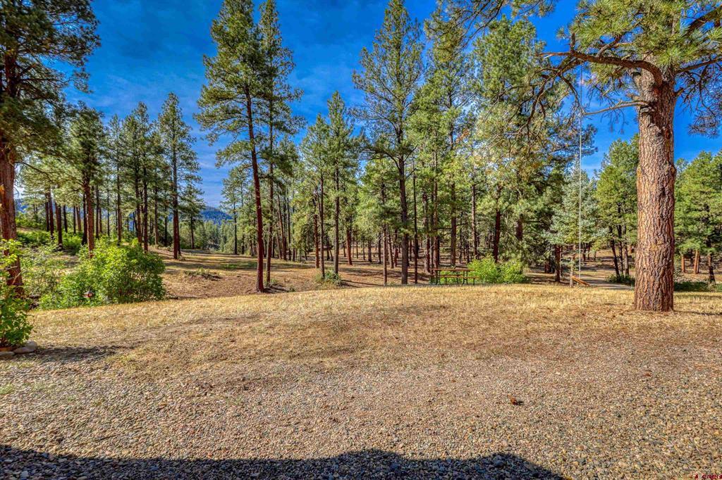 704 Two Bear Drive Pagosa Springs CO 81147