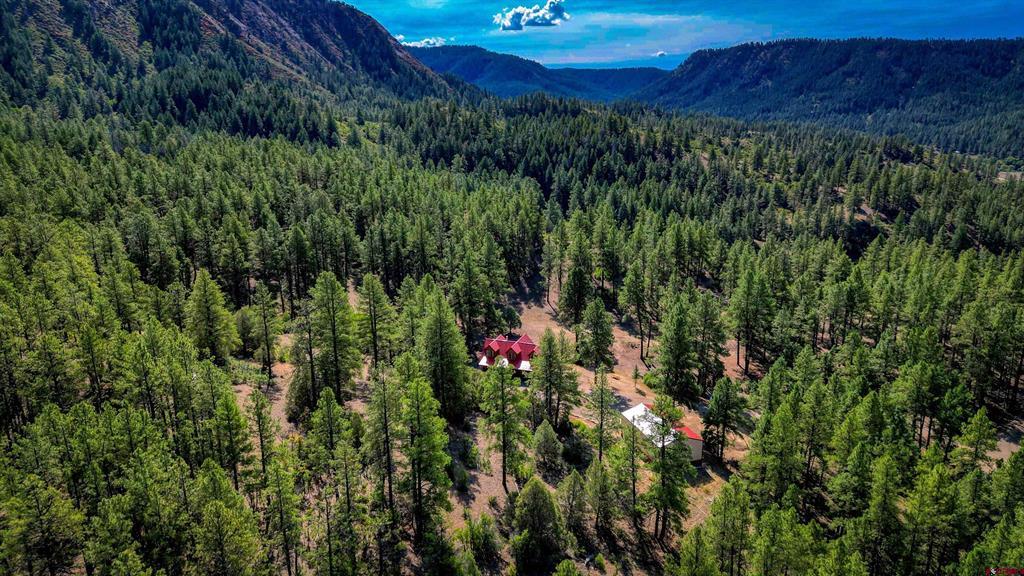 704 Two Bear Drive Pagosa Springs CO 81147