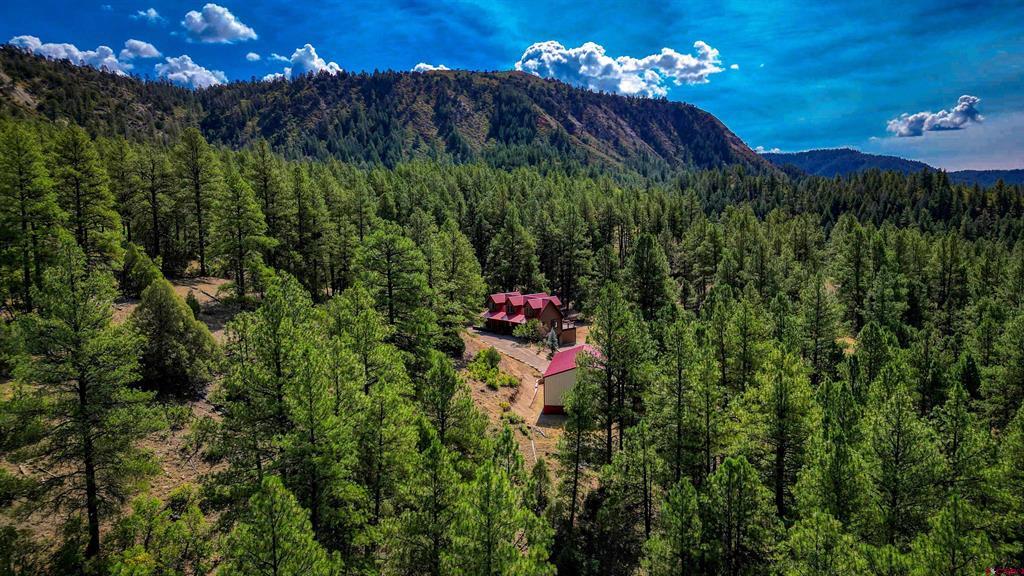 704 Two Bear Drive Pagosa Springs CO 81147
