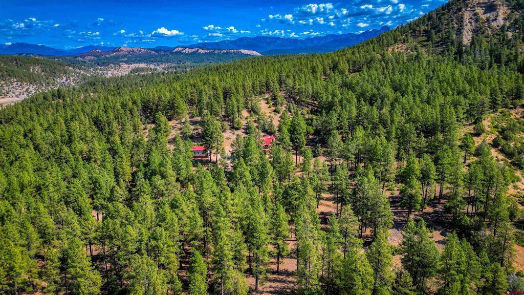 704 Two Bear Drive Pagosa Springs CO 81147