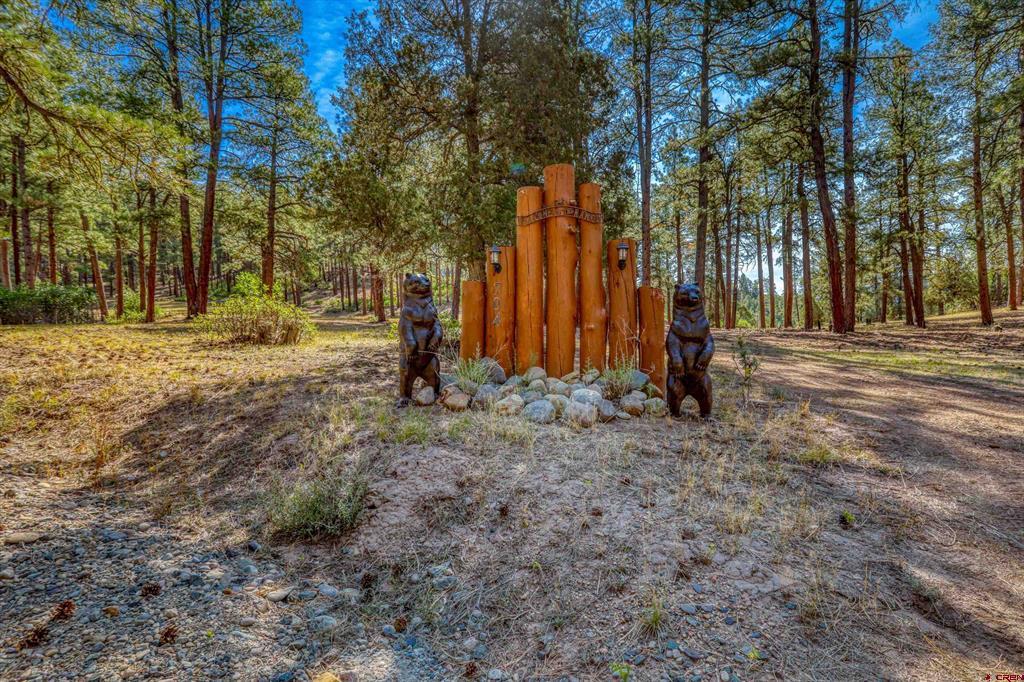 704 Two Bear Drive Pagosa Springs CO 81147